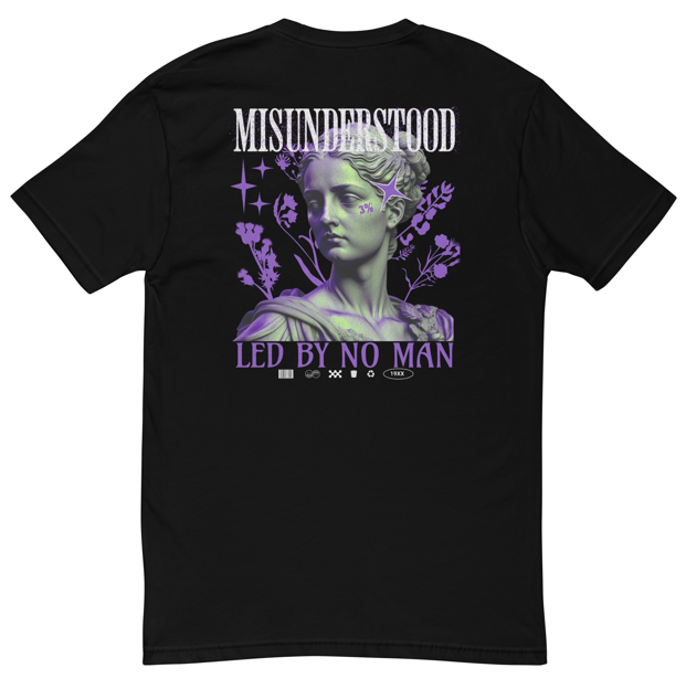 "Misunderstood" Fitted-T