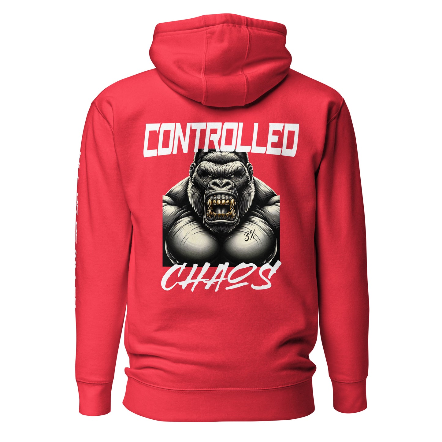 Controlled Chaos Hoodie