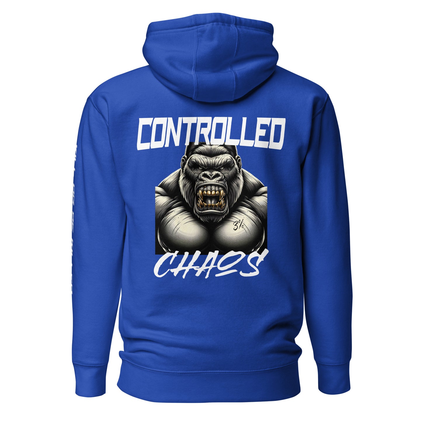 Controlled Chaos Hoodie